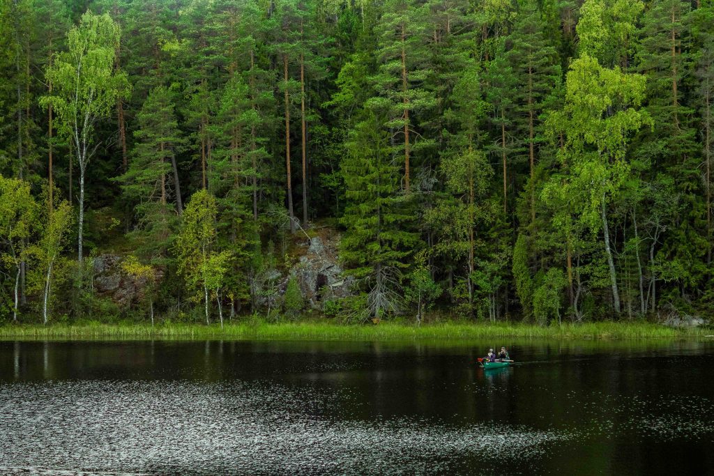 Nuuksion kansallispuisto